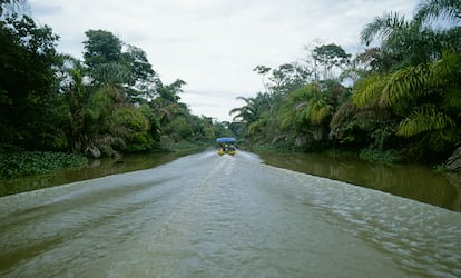 Navegando por el parque nacional de Tortuguero, en Costa Rica, y sus canales.