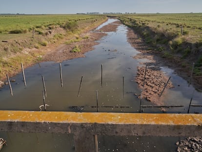 El bajo nivel del agua en un canal cercano a San José de la Esquina, en la provincia de Santa Fe (Argentina), el 16 de enero de 2023.