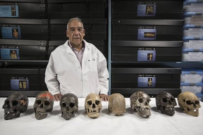 Anthropologist José Jiménez with the eight oldest skulls in the Americas.