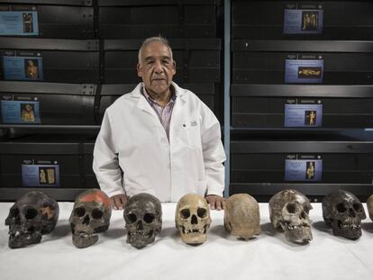 Anthropologist José Jiménez with the eight oldest skulls in the Americas.