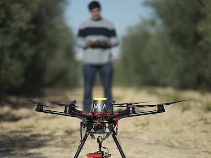  Un técnico inicia un vuelo de dron para tomar imágenes de una finca de olivares.  