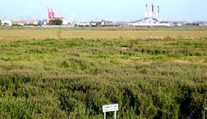 Zona norte de los terrenos de Tablada.