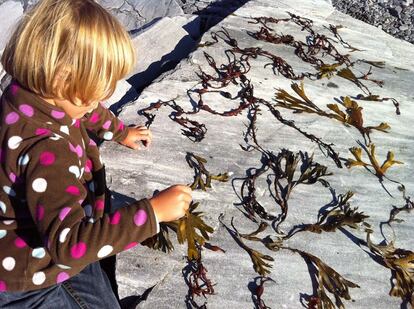 Una de las hijas de María Acaso crea un tapiz de algas sobre una piedra en la que trabajaron el color y, en especial, la diferencia entre la textura artificial y orgánica.