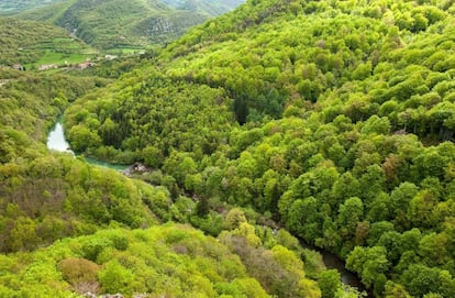 La Selva de Irati, con más de 17.000 hectáreas, no solo es magnética en otoño. El verde de los bosques y las temperaturas agradables se agradecen también en verano.