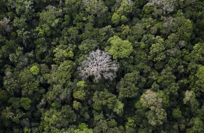 An aerial view shows the Amazon rainforest at the Bom Futuro National Forest near Rio Pardo in Porto Velho, Rondonia State, Brazil, September 3, 2015. The town of Rio Pardo, a settlement of about 4,000 people in the Amazon rainforest, rises where only jungle stood less than a quarter of a century ago. Loggers first cleared the forest followed by ranchers and farmers, then small merchants and prospectors. Brazil's government has stated a goal of eliminating illegal deforestation, but enforcing the law in remote corners like Rio Pardo is far from easy. REUTERS/Nacho Doce TPX IMAGES OF THE DAYPICTURE 1 OF 40 FOR WIDER IMAGE STORY "EARTHPRINTS: RIO PARDO" SEARCH"EARTHPRINTS PARDO" FOR ALL IMAGES