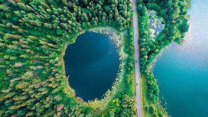El agua acompaña al turista en este viaje por el país, donde se suceden más de 3.000 lagos rodeados de bosques vírgenes.