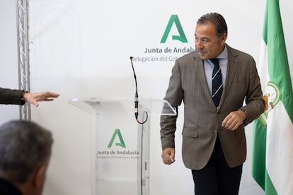 El presidente del PP de Sevilla y delegado del Gobierno de la Junta en Sevilla, Ricardo Sánchez, durante la presentación  del cartel de la Feria de Mairena del Alcor 2025.