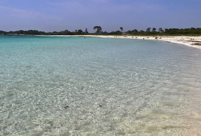 Es Caragol, a Santanyí (Mallorca), una platja d'aigües netes i transparents a la qual s'accedeix a peu des del far de ses Salines.