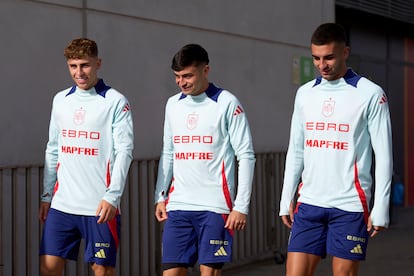 Seleccion española futbol