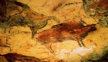 Bison paintings inside Altamira cave.