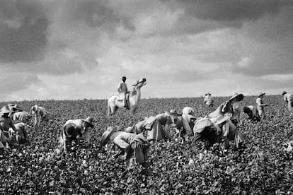 Fotografía de Tamón Masats tomada en Jerez de la Frontera (Cádiz) en 1965.