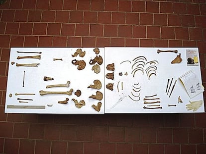 Imagen cedida por el cabildo de El Hierro en la que se aprecian algunos de los restos humanos de abor&iacute;genes de esta isla canaria