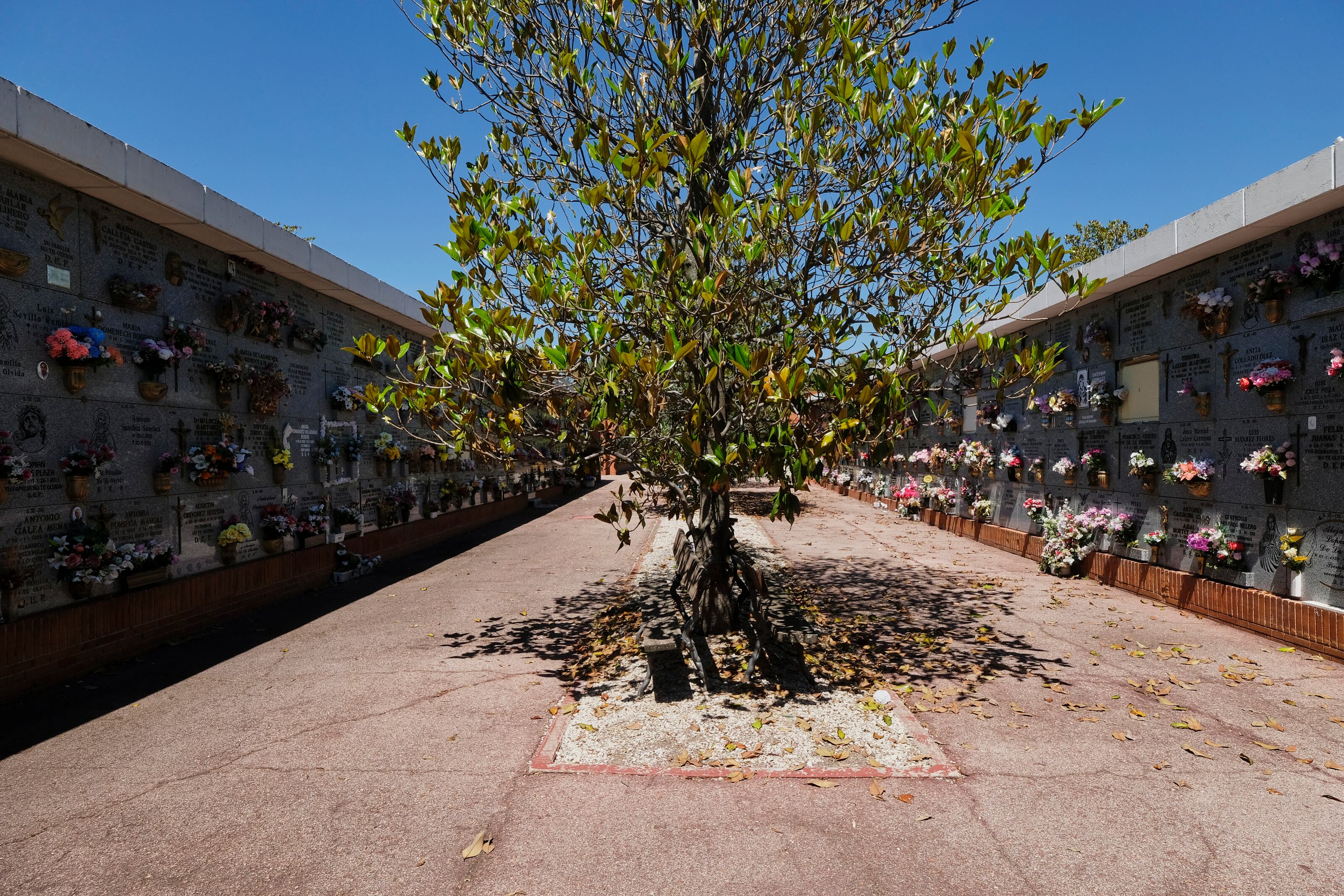 Una de las calles del Cementerio Sur Carabanchel.