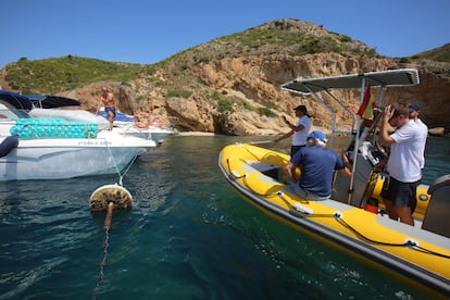 Posidonia oceánica