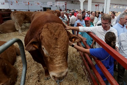 El presidente del PP, Alberto Núñez Feijóo, visita la Feria Agropecuaria SALAMAQ de Salamanca, el lunes.