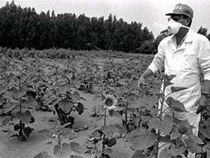 Un técnico recoge muestras al romperse la balsa de residuos mineros de Aznalcóllar, en 1998.