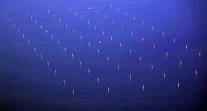 Aerial view of dozens of wind turbines, off the Danish coast.