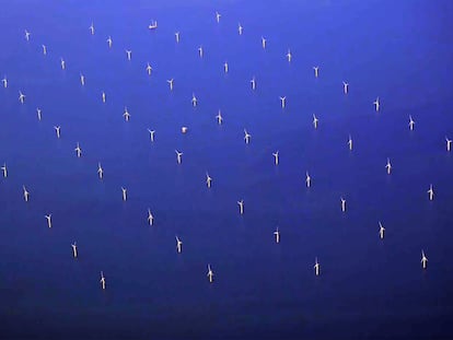 Vista aérea de decenas de aerogeneradores, frente a las costas danesas.