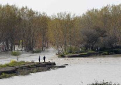 Varias personas en el dique de contención que se encuentra junto al Ebro, en Castejón (Navarra), que a causa de su rotura ha hecho que el río haya vuelto a desbordarse en algunas zonas de la Ribera de Navarra, anegando principalmente campos de cultivos.