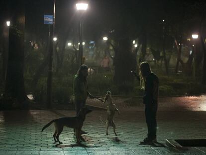 Vista del Parque España, en la colonia Condesa de la Ciudad de México.