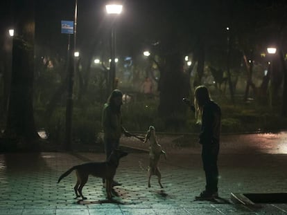 Vista del Parque España, en la colonia Condesa de la Ciudad de México.