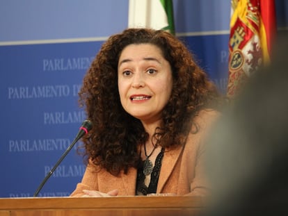 La portavoz parlamentaria de Unidas Podemos por Andalucía, Inmaculada Nieto, en una rueda de prensa en febrero.