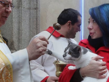 Bendición de animales en la Iglesia de San Antón, en el centro de Madrid.