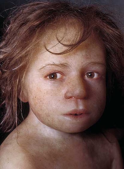 Reconstrucción de un niño neandertal sobre el vaciado de un cráneo hallado en Roc de Marsal, Dordoña (Francia). La recreación, a tamaño natural, está hecha a base de silicona, yeso, resina y cabellos naturales.