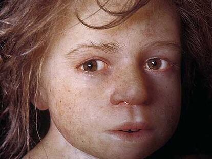 Reconstrucción de un niño neandertal sobre el vaciado de un cráneo hallado en Roc de Marsal, Dordoña (Francia). La recreación, a tamaño natural, está hecha a base de silicona, yeso, resina y cabellos naturales.