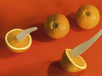 LA NARANJA.
España fue la primera productora de naranjas. Hoy es la séptima mundial y la primera europea, aunque su calidad es indiscutible. Procedente de China, algunos etimólogos indican que las manzanas doradas del mitológico Jardín de las Hespérides eran en realidad naranjas. Su cultivo, junto con el resto de cítricos, llegó a través de los árabes, que las utilizaban como elemento ornamental o con fines medicinales. Una de las primeras variedades dulces se obtuvo en el municipio de Carcaixent a finales del siglo XVIII. Un siglo después, Valencia empezó a desarrollar el cultivo industrial. El hecho de ser un fruto de invierno con piel dura que aguantaba el transporte favoreció su popularidad en el norte de Europa. La primera exportación a Reino Unido tuvo lugar en 1850. En Bélgica cuenta la leyenda que San Nicolás llega a principios de diciembre desde Alicante para repartir regalos y naranjas a los niños.