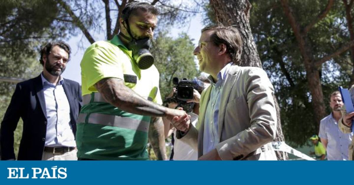 El Ayuntamiento contrata a 500 trabajadores para un plan de choque de ...
