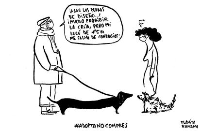 Viñeta perros Flavita Banana