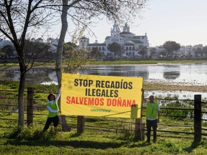 Activistas de Greenpeace con una pancarta en contra de la proposición de ley de PP y Vox sobre los regadíos en Doñana.