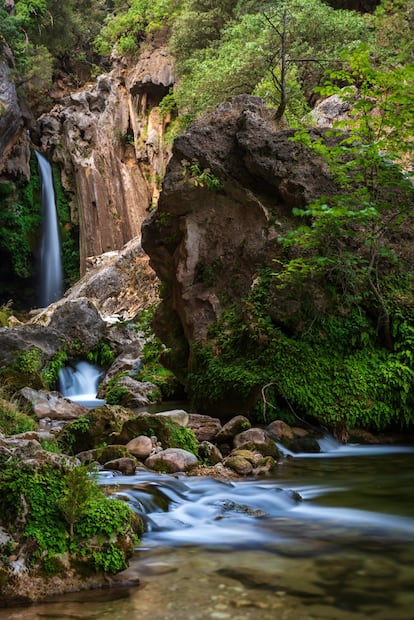 Uno de los reclamos más poderosos de Jaén para los amantes de la naturaleza es el parque natural de las Sierras de Cazorla, Segura y Las Villas, el espacio protegido más extenso de España, con 2.099 kilómetros cuadrados de sierras abruptas, valles verdes y profundos, quebradas, gargantas, cascadas, castillos sobre cerros y una fauna abundante. Recorrido por senderos y pistas forestales bien señalizados, y con el embalse del Tranco, de 20 kilómetros de largo, justo en medio, es un territorio de espectaculares cambios en el paisaje, con altitudes que fluctúan entre 460 y 2.107 metros. La ruta pedestre más transitada es la que remonta el cristalino río Borosa hasta su nacimiento, en un recorrido de unos 11 kilómetros (solo ida) y 600 metros de desnivel. Eso sí, debido a su popularidad, es mejor hacerla entre semana. La caminata arranca junto al centro de visitantes Torre del Vinagre (953 71 30 17), con un kilómetro y medio inicial que nos sitúa en el aparcamiento del río. Ya a pie, el camino discurre junto al cauce del Borosa y, tres kilómetros después, se bifurca junto al cartel que anuncia la Cerrada de Elías, y nos conduce hacia esta angosta garganta. Al salir de la misma, continúa hasta una pequeña central eléctrica y el nacimiento Aguas Negras, en la laguna Valdeazores, donde el Borosa brota de una roca. En total se invierten unas seis horas (ida y vuelta) para 22 kilómetros de dificultad moderada.