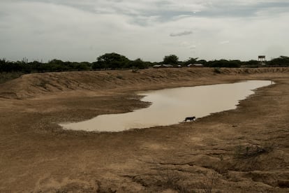 La manera ancestral de los indios wayúu de almacenar el agua es a través de los jagüeyes, lagunas artificiales que recogen la lluvia y que comparten con los animales. El resultado es que los menores que han de beber de aquí tienen frecuentes diarreas y otras enfermedades transmitidas por el agua, según Save the Children. Solo uno de cada 30 niños y adolescentes wayúu que viven en zonas rurales tiene acceso a agua potable, según la organización.