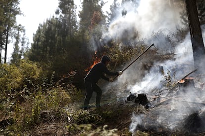 Un hombre intenta apagar las llamas en un incendio forestal este lunes en Hualqui, cerca de Concepción, Chile. 