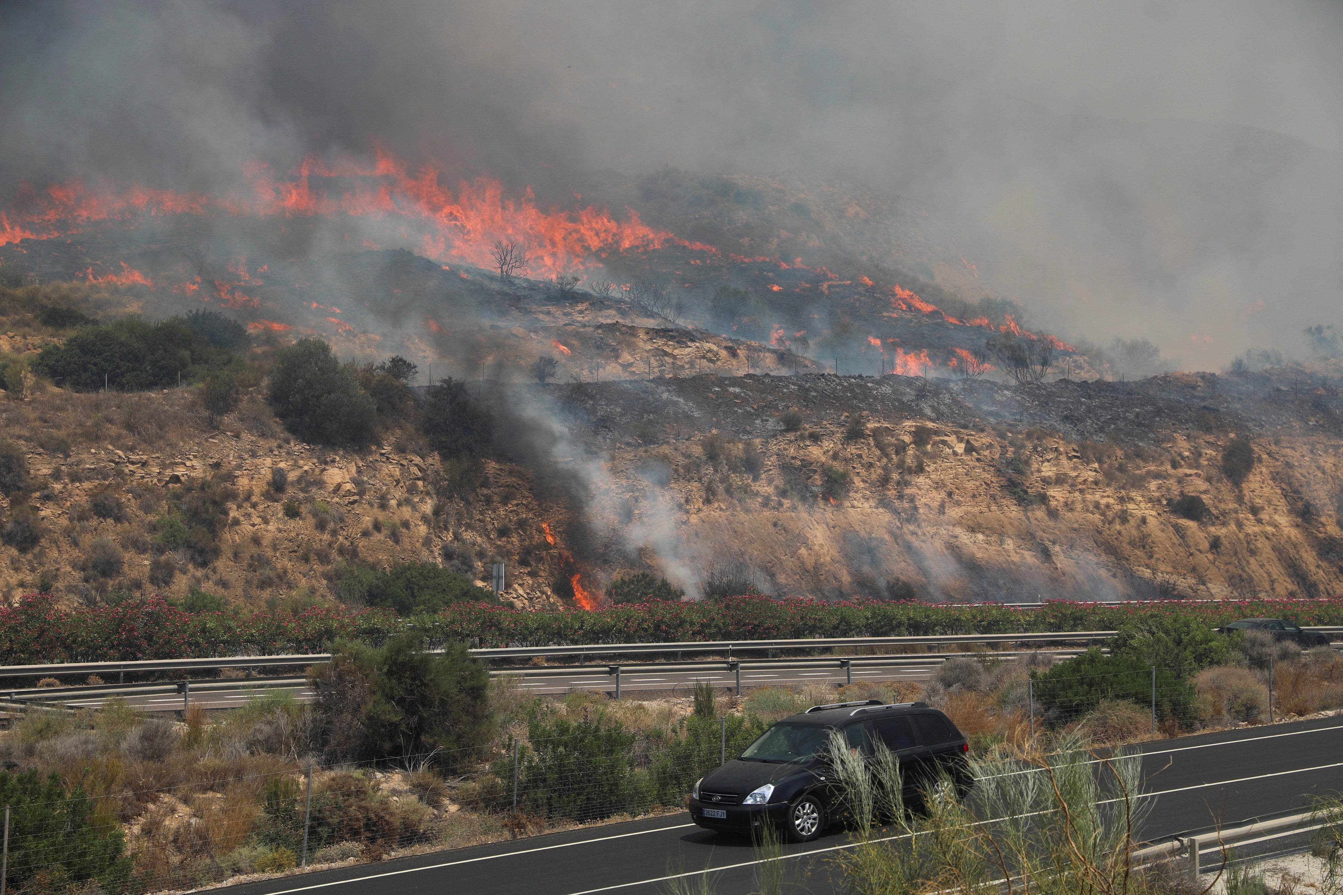 Últimas noticias del incendio forestal de Los Gallardos (Almería), en directo | Al menos 12 muertos y 23 personas no localizadas en el incendio más trágico registrado en Andalucía