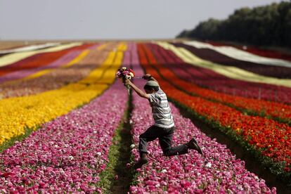 Un joven israelí salta en un campo de ranúnculos cerca de la localidad de Kibbutz Nir Yitzhak, a pocos kilómetros de la frontera con la Franja de Gaza, en Israel.