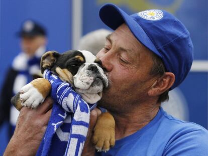 Los aficionados del Leicester City celbgran el título de la Premier League inglesa.
