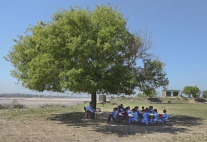 Niños indios estudian a la sombra de un árbol en una escuela dirigida por el Gobierno indio en Jammu.