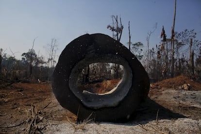 A burning tree is pictured near Rio Pardo, in the district of Porto Velho, Rondonia State, Brazil, August 29, 2015. The town of Rio Pardo, a settlement of about 4,000 people in the Amazon rainforest, rises where only jungle stood less than a quarter of a century ago. Loggers first cleared the forest followed by ranchers and farmers, then small merchants and prospectors. Brazil's government has stated a goal of eliminating illegal deforestation, but enforcing the law in remote corners like Rio Pardo is far from easy. REUTERS/Nacho Doce TPX IMAGES OF THE DAYPICTURE 9 OF 40 FOR WIDER IMAGE STORY "EARTHPRINTS: RIO PARDO" SEARCH"EARTHPRINTS PARDO" FOR ALL IMAGES