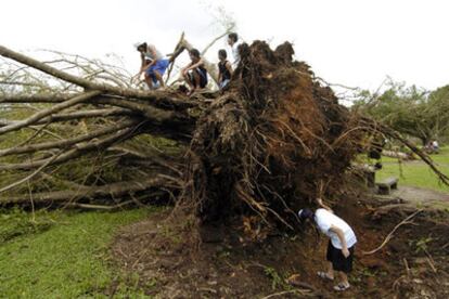 Unos niños, sobre un árbol caído ayer en Cairns, al norte del país, tras el paso del ciclón.