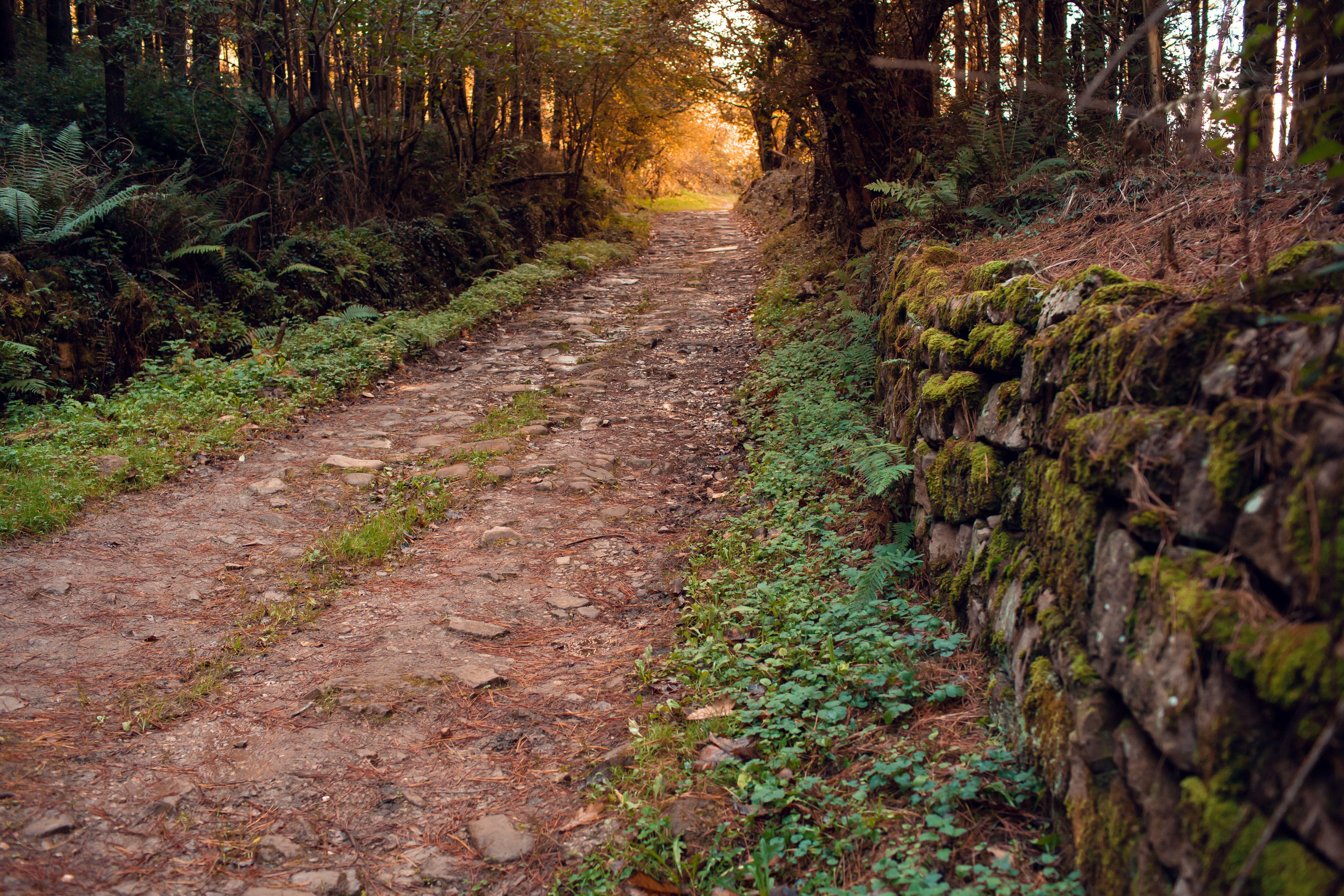 Calzada romana de Bárcena de Pie de Concha a Pesquera (Cantabria).