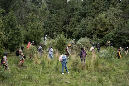 Búsqueda de Ana Amelí en el Ajusco