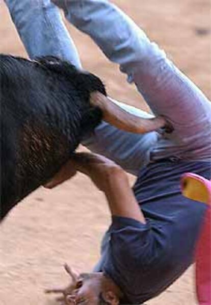 El toro voltea al corredor herido en el encierro de la localidad madrileña.