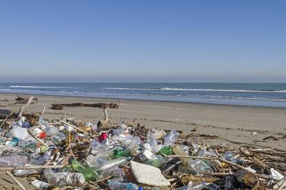 Basura en una playa del Adriático.