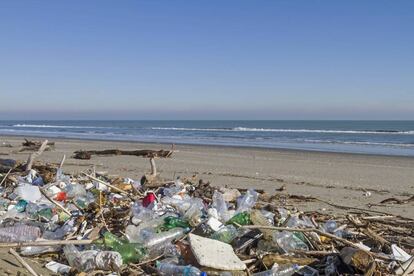 Basura en una playa del Adriático. 