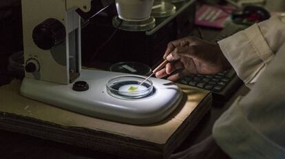 Trabajo de laboratorio en Zimbabue.