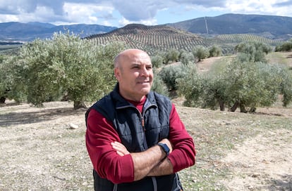 El alcalde de Hinojares, Marón Martínez, en un olivar de Jaén.