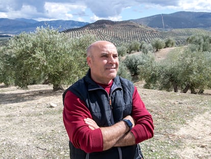 El alcalde de Hinojares, Marón Martínez, en un olivar de Jaén.